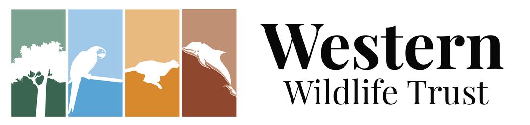 Wildlife trust car window sticker