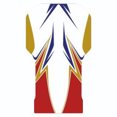 Birel 2013 Replica Floortray Graphics Kit