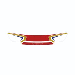 Birel 2013 Replica Visor Graphics Kit