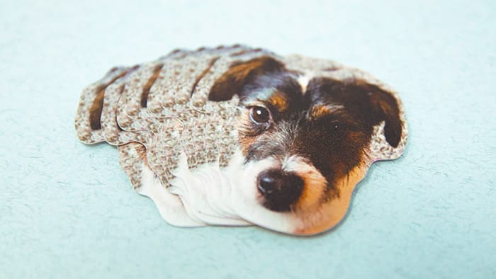 A pile of biodegradable sticker die cut with a dog design