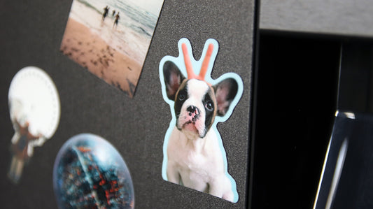 How to make your own die cut magnets
